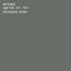 #676B65 - Ironside Gray Color Image